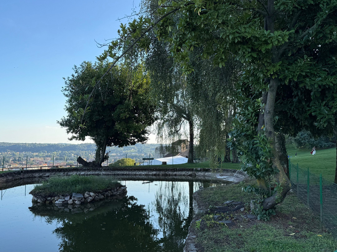 Rocca Borromea di Arona-阿罗纳必去景点