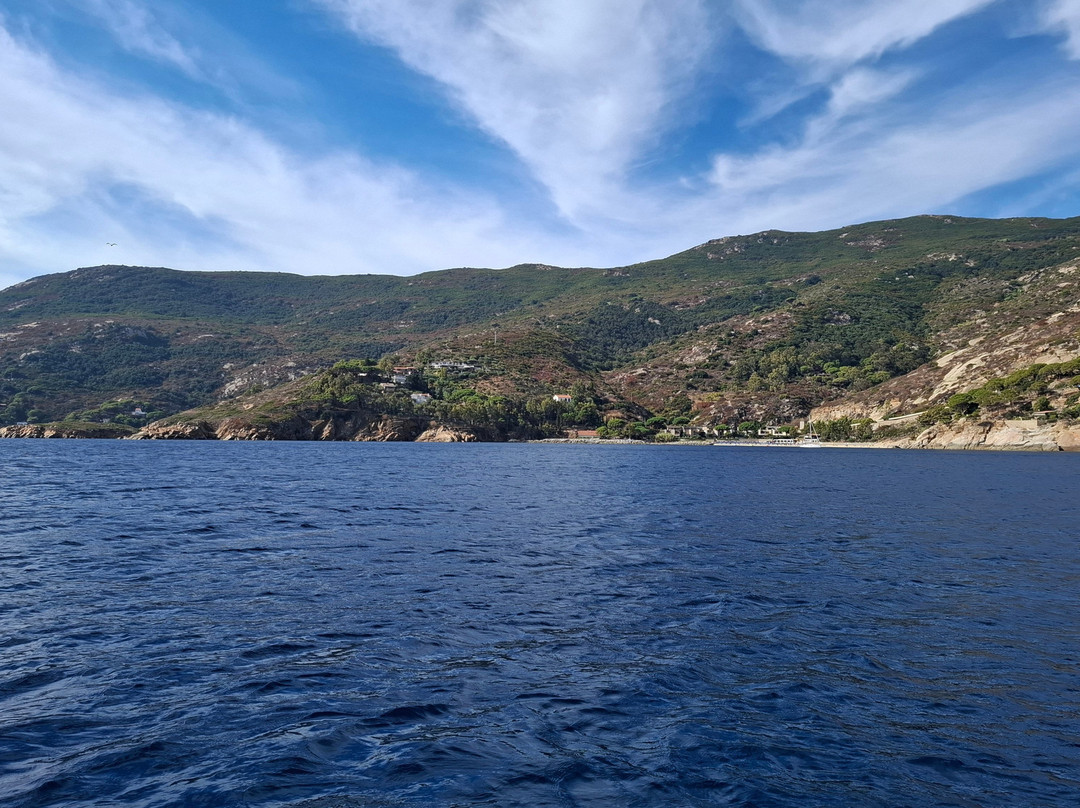 Max Shark Diving-Isola del Giglio必去景点