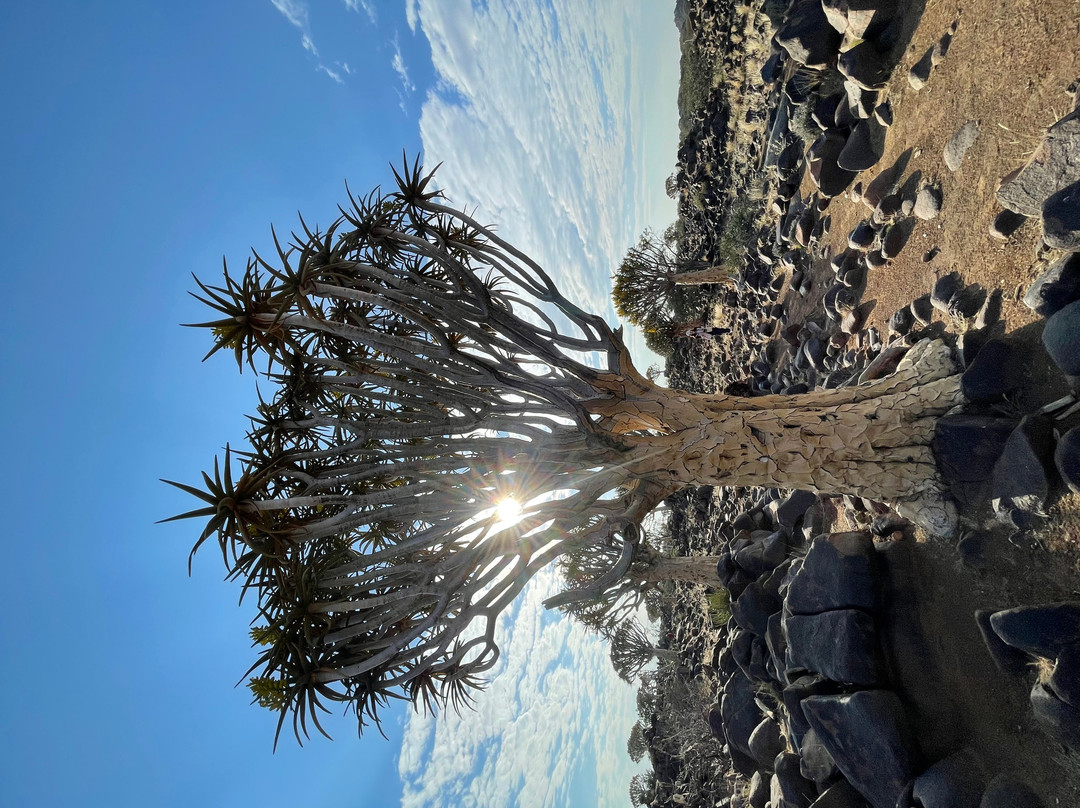 Garas Park Camp-Keetmanshoop必去景点