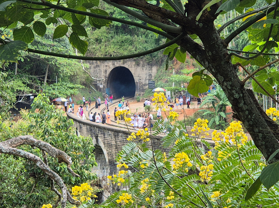 Ella Nine Arch Spice Garden-埃勒必去景点
