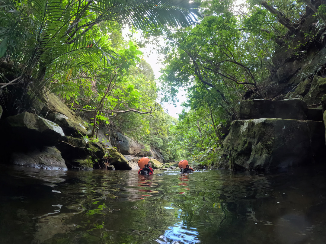 Motti Iriomote Island Trekking Eco Tour-竹富町西表岛必去景点