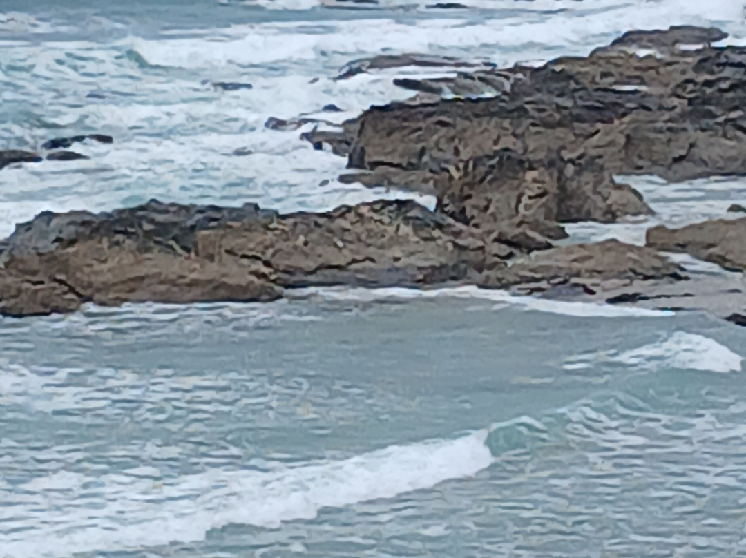Godrevy Lighthouse-Portreath必去景点