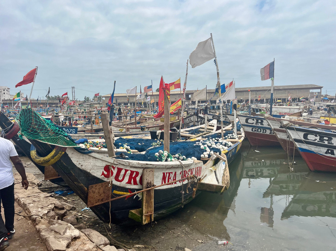 Elmina lagoon-Elmina必去景点