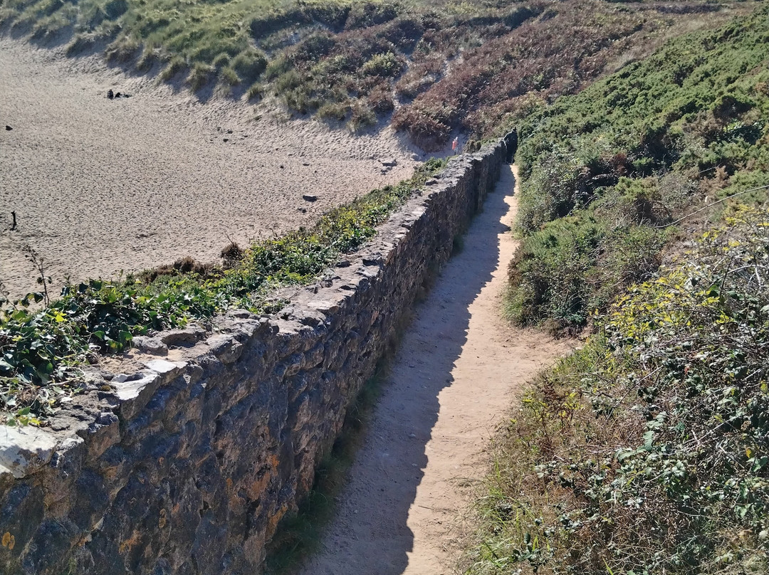 Barafundle Beach-Stackpole必去景点