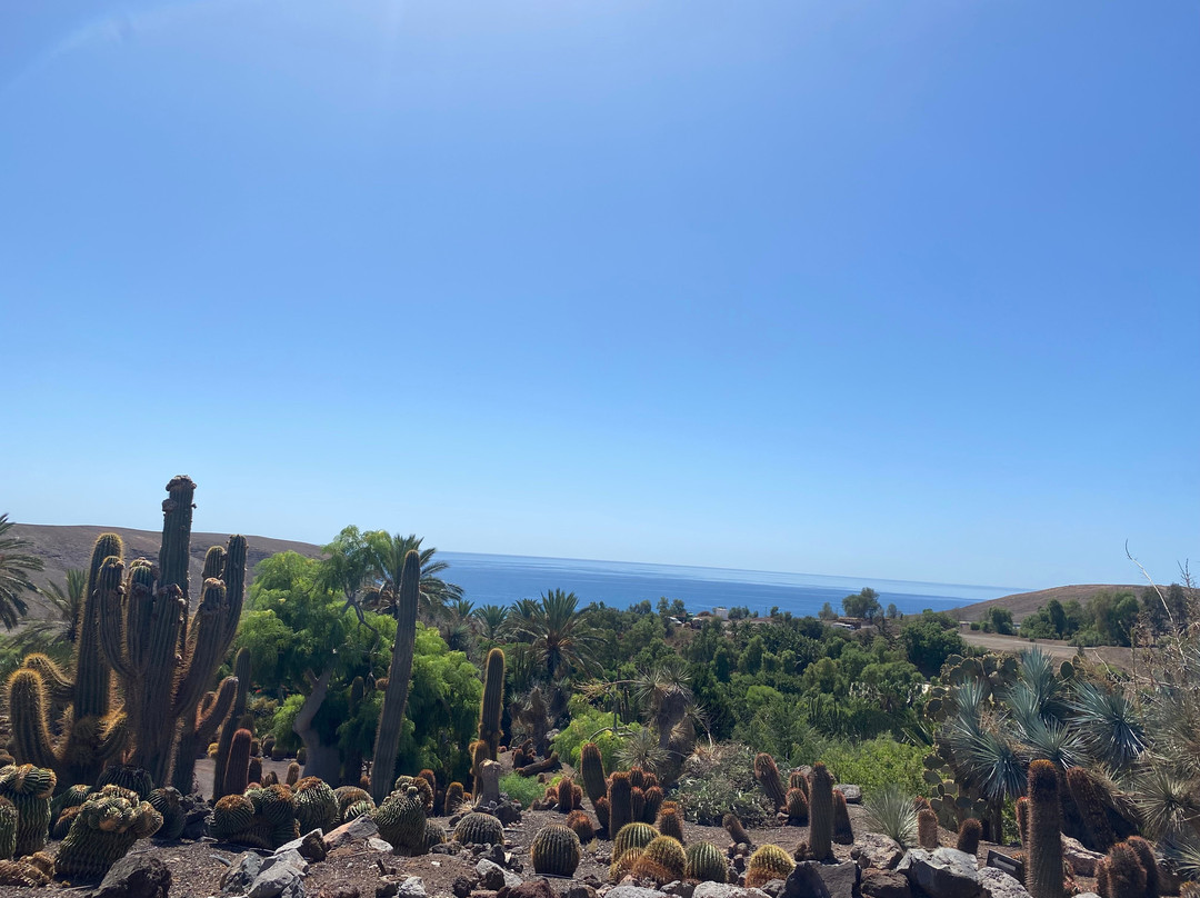 Oasis Park Fuerteventura-La Lajita必去景点