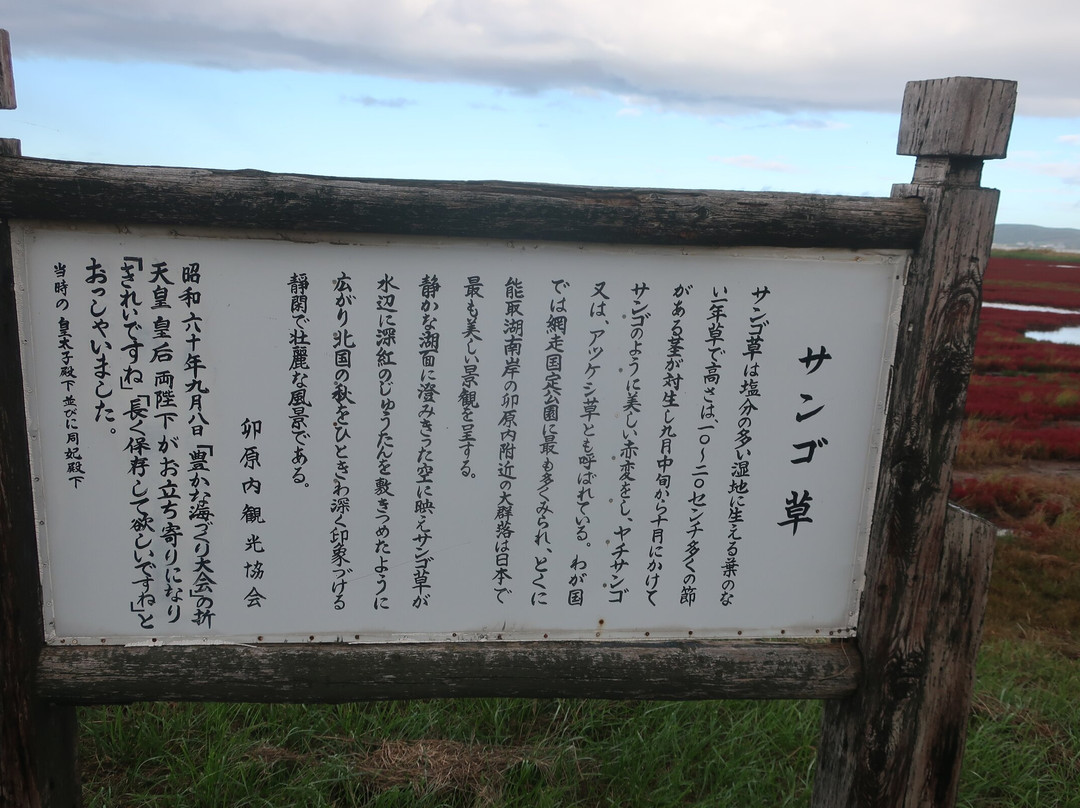 Ubaranai Sango-so Colony-网走市必去景点