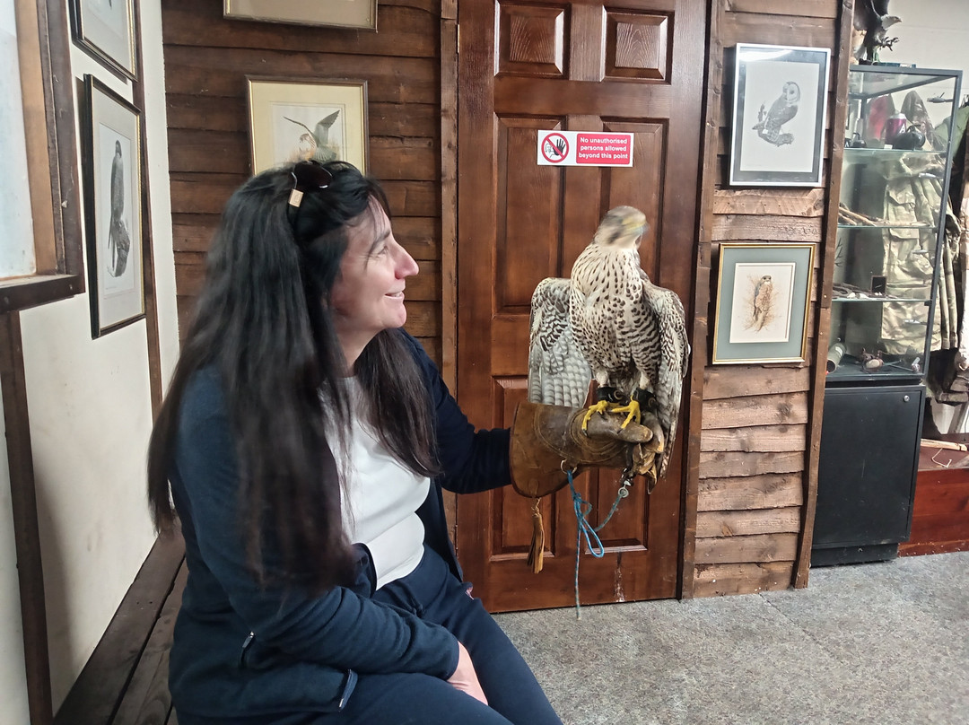 Riverside Falconry-纽卡斯尔必去景点