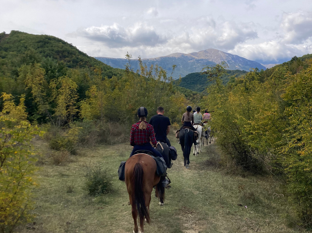 Horse Riding Albania
