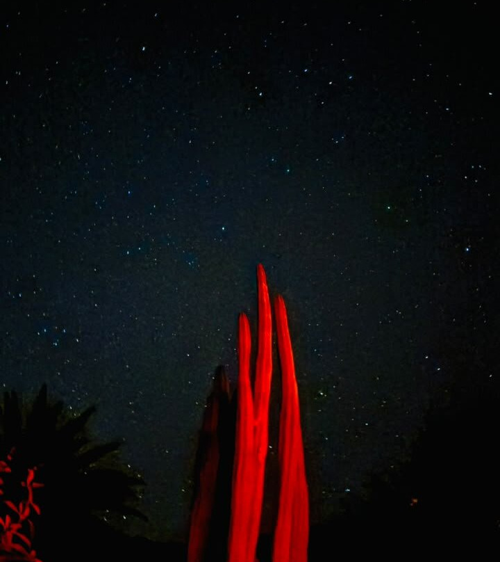 Astronomia Desde el Jardin Diaguitas-Diaguitas必去景点