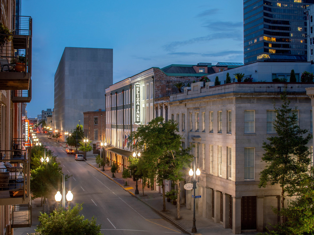 The Eliza Jane - The Unbound Collection by Hyatt主图