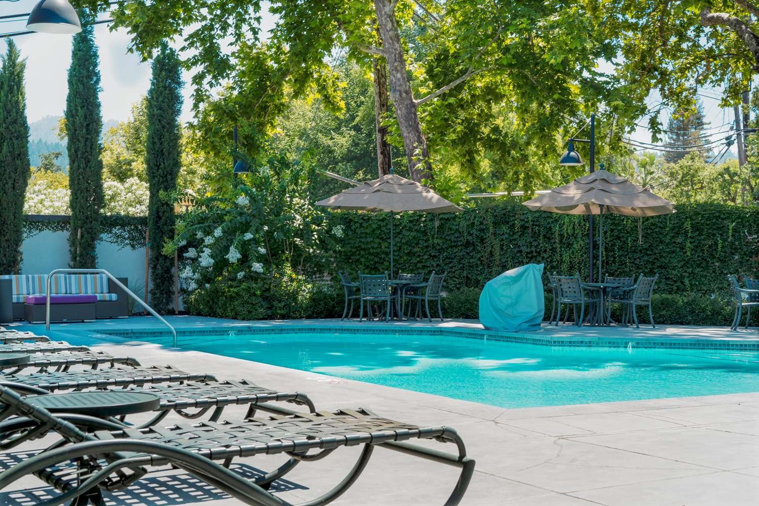 Best Western Plus Stevenson Manor-官方