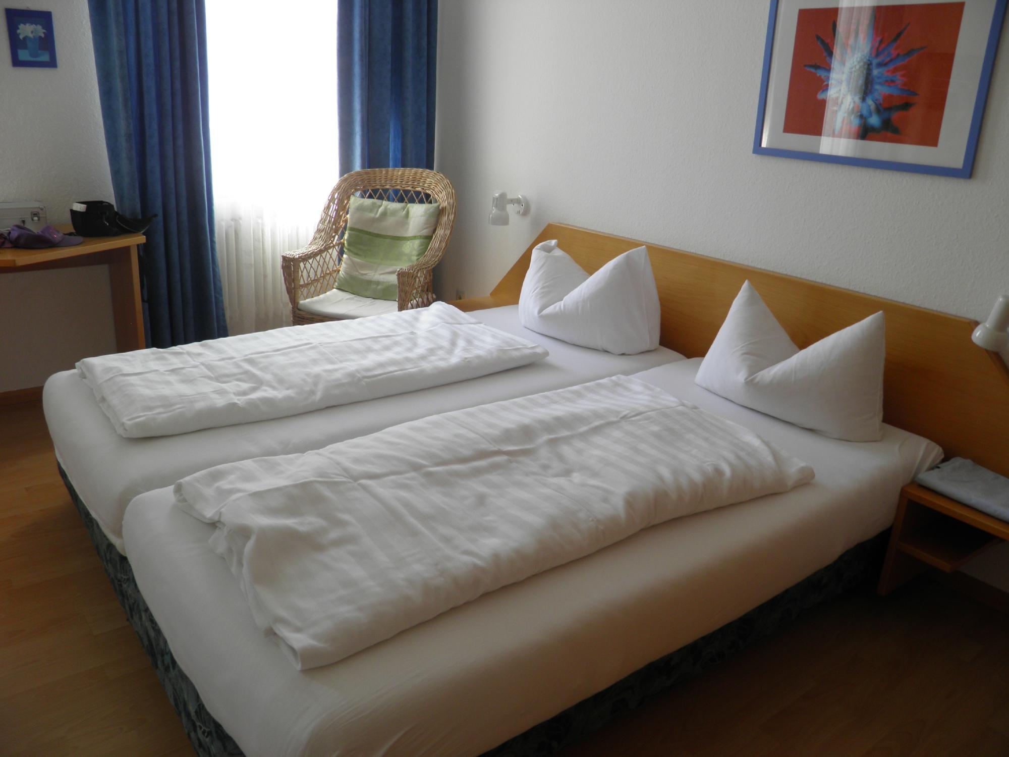 Gasthaus Adler-客卧