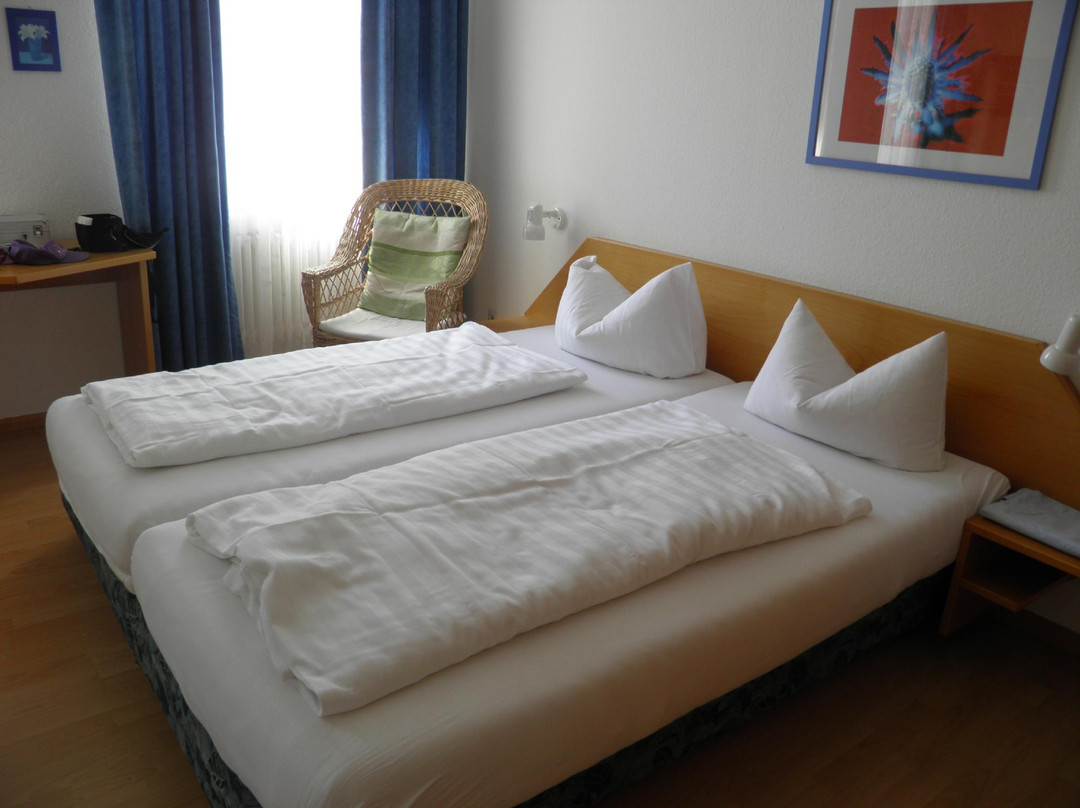 Ettenheim酒店住宿-Gasthaus Adler