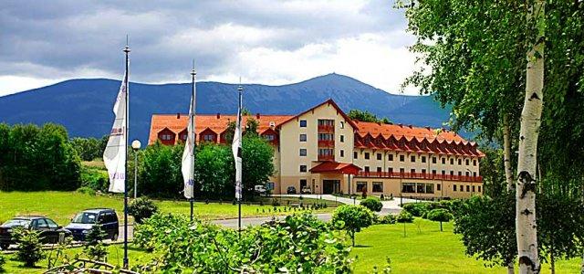 Hotel Ariston-官方
