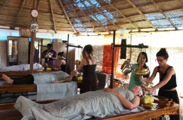 Natural Paradise Ayurclinic Resort