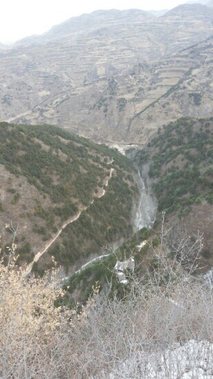陇南香山自然保护区