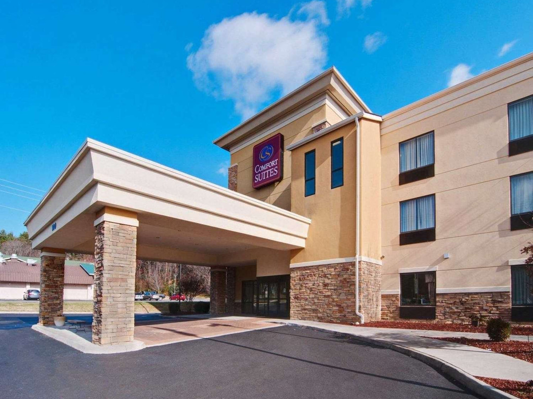 Comfort Suites Salem - Roanoke I-81主图