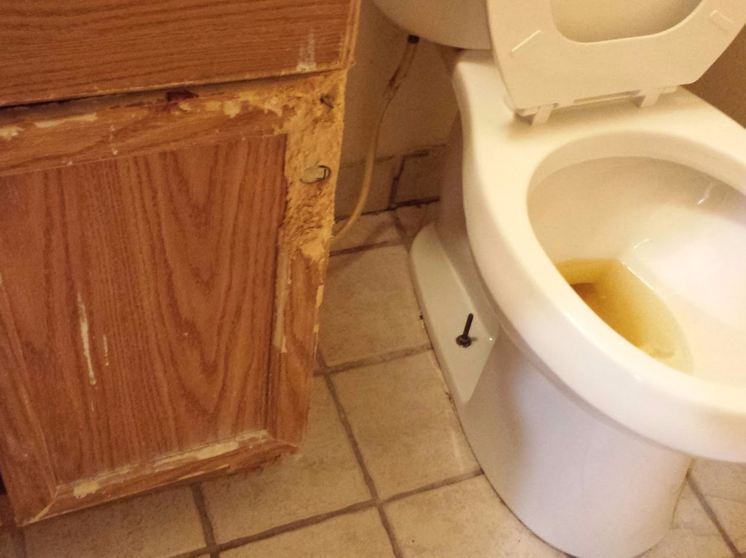 Hometown Inn (Flint)