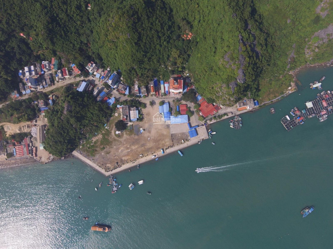 Cat Ba Violet Hotel主图