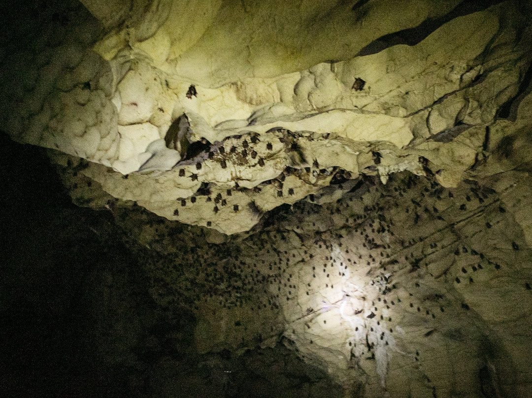 Cuevas del Pomier景点图片