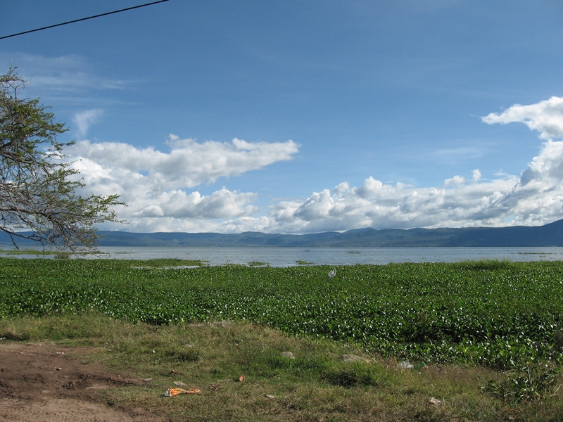 Lake Chapala景点图片