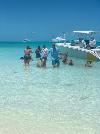 Exuma Water Tours - Four C’s Adventures景点图片