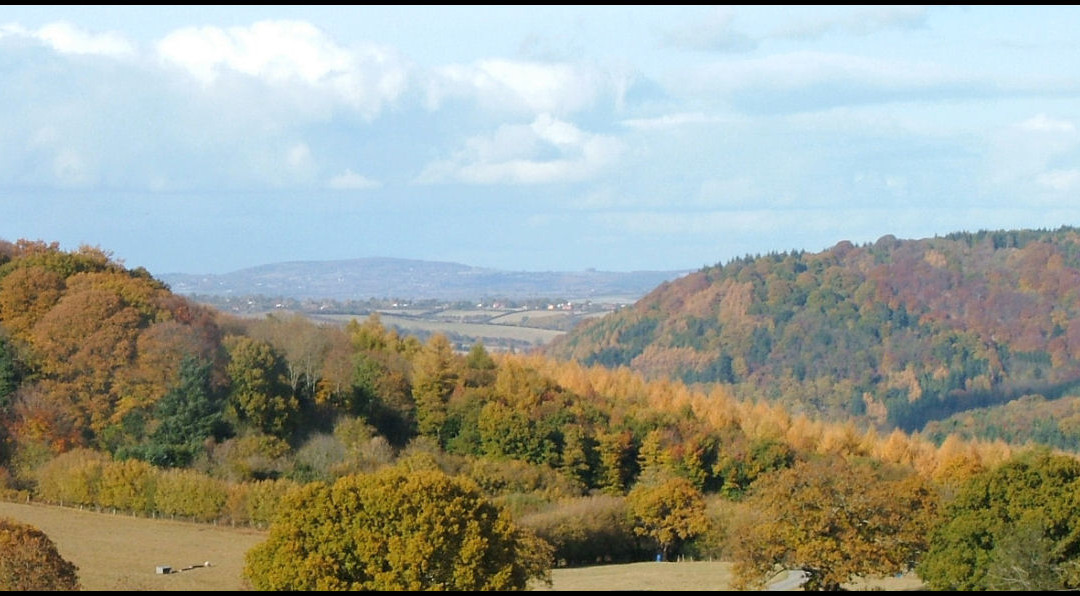 The Forest Of Dean-Coleford必去景点