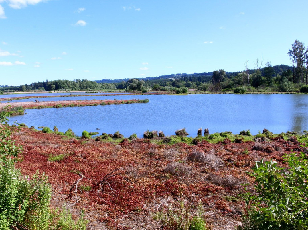 Forest Grove旅游景点-Fernhill Wetlands Park
