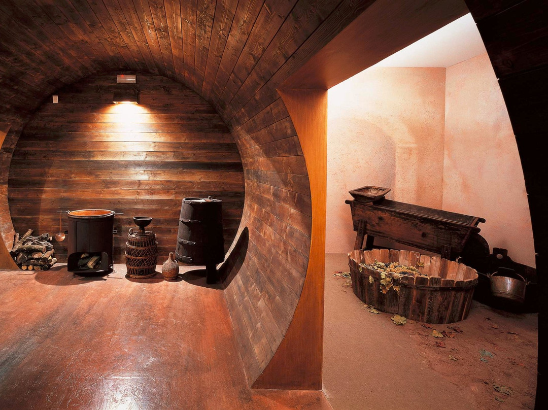 Museum of Traditional Balsamic Vinegar of Modena - Spilamberto景点图片