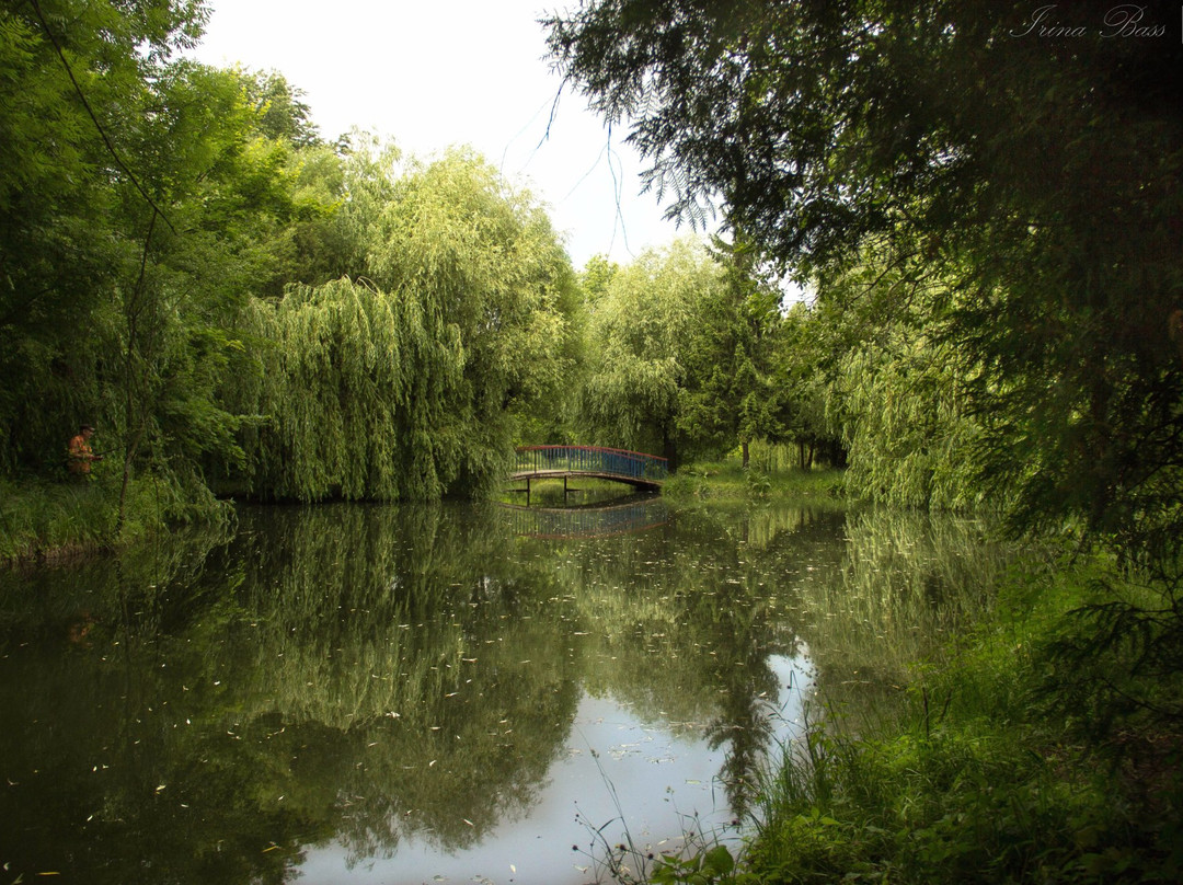 Ternopil Oblast旅游景点-Topilche Hydropark