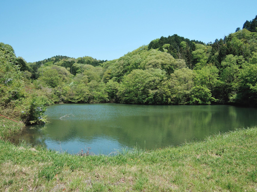 Mt. Taiio景点图片