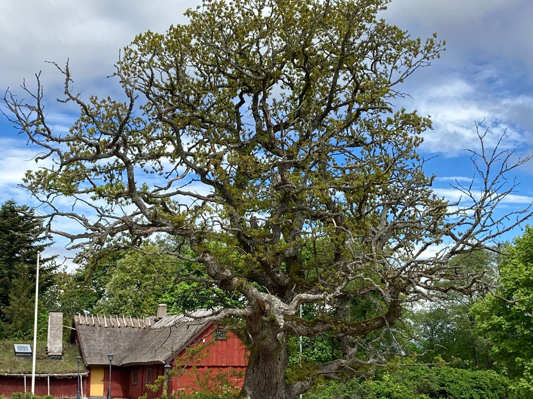 Hallarnas Hembygdsgard