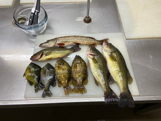 Paradise Resort主图