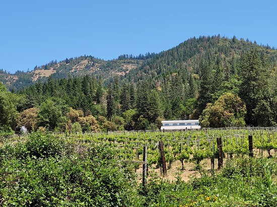 Wooldridge Creek Winery景点图片