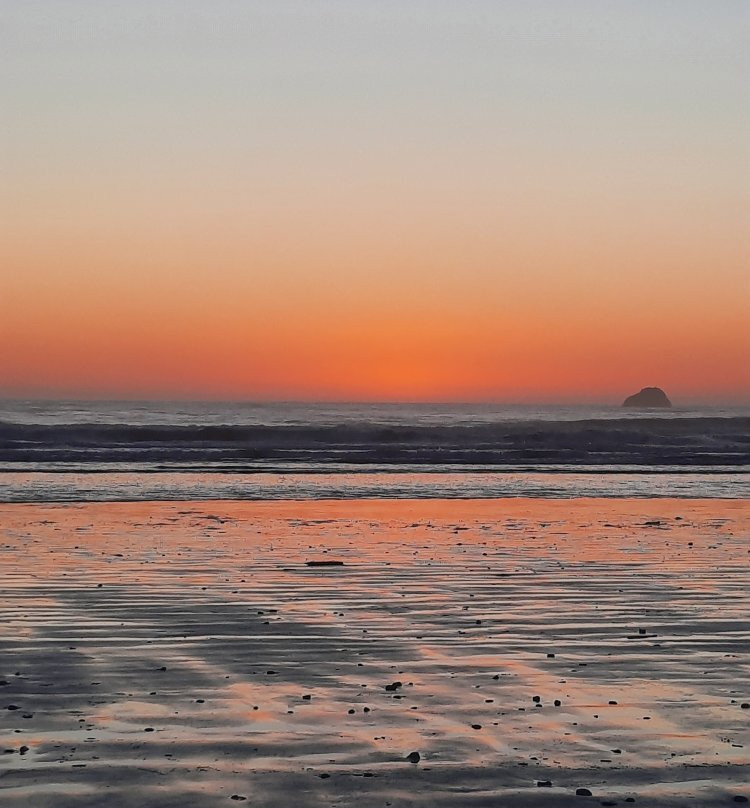 Redwood Highway-尤里卡必去景点