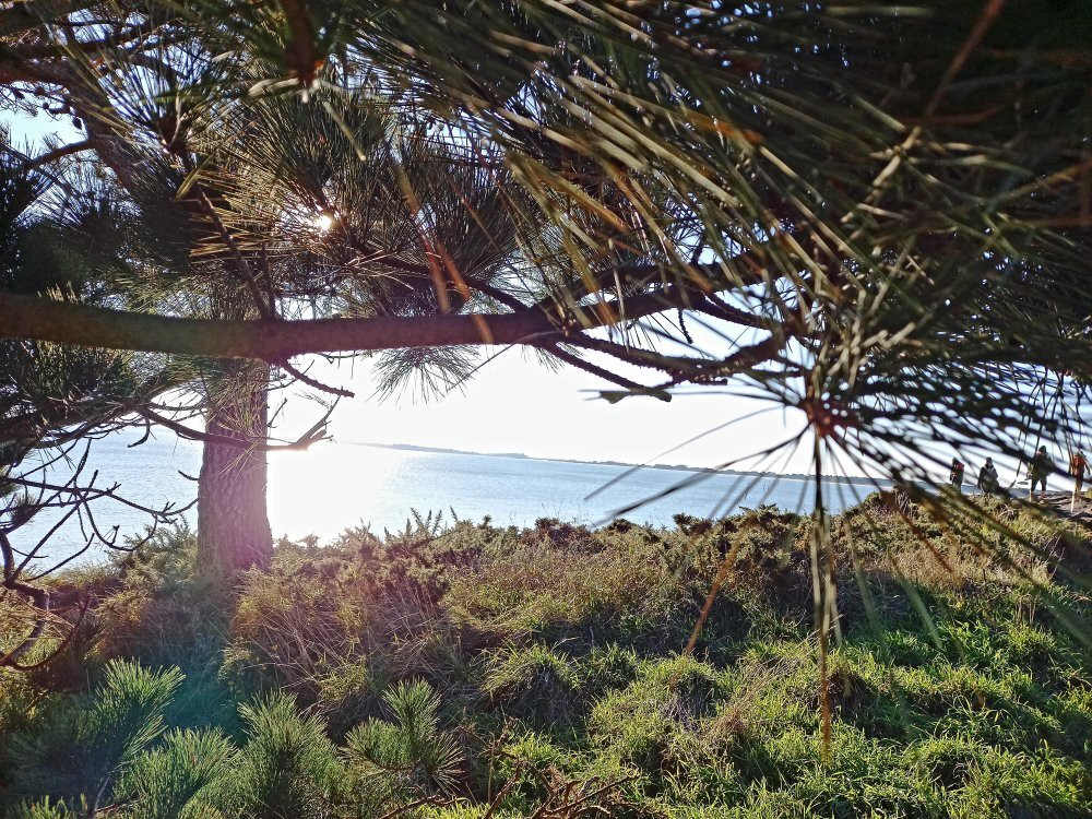 Plage Saint-Colomban-卡纳克必去景点