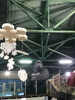 Atlantik by USTA Hotels主图