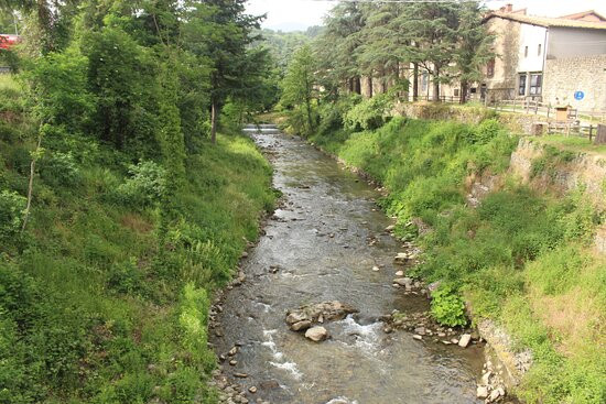 Parco Nazionale delle Foreste Casentinesi, Monte Falterona e Campigna景点图片