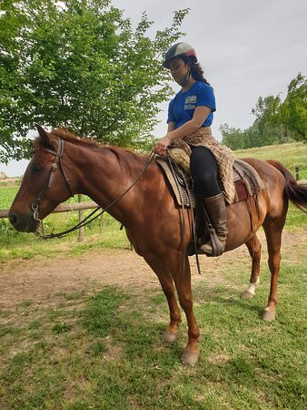 Centro Equestre Il Salice景点图片
