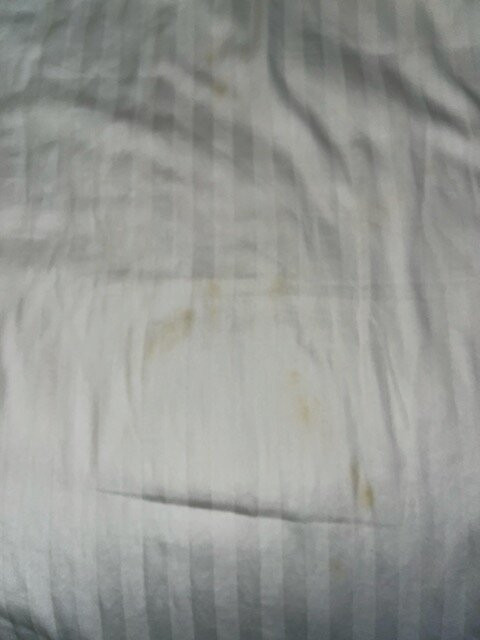 Best Western Okmulgee主图