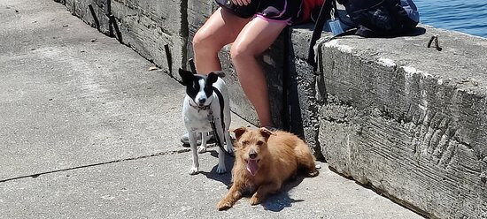 Shoreline Boat Tours-Gills Rock必去景点