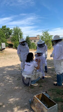 Apibericos,professional beekeepers景点图片