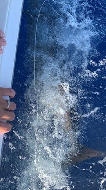 Kona Cowboy Sport Fishing-凯鲁瓦-柯纳必去景点