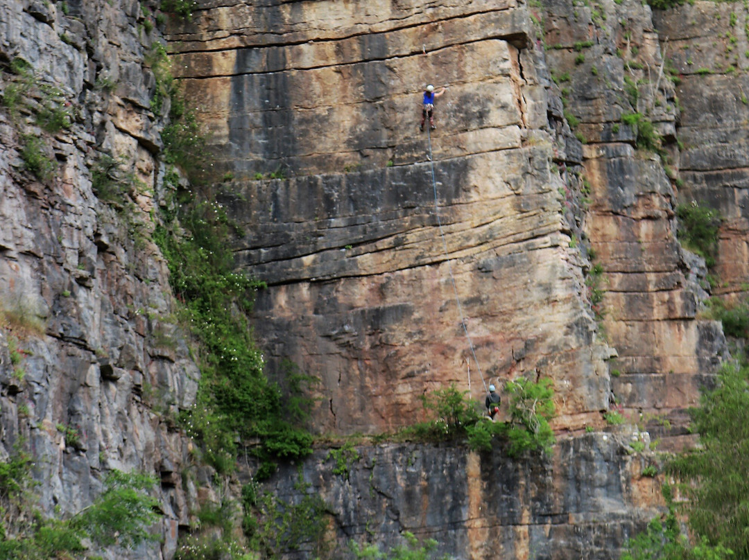 Llanymynech Rocks Nature Reserve景点图片