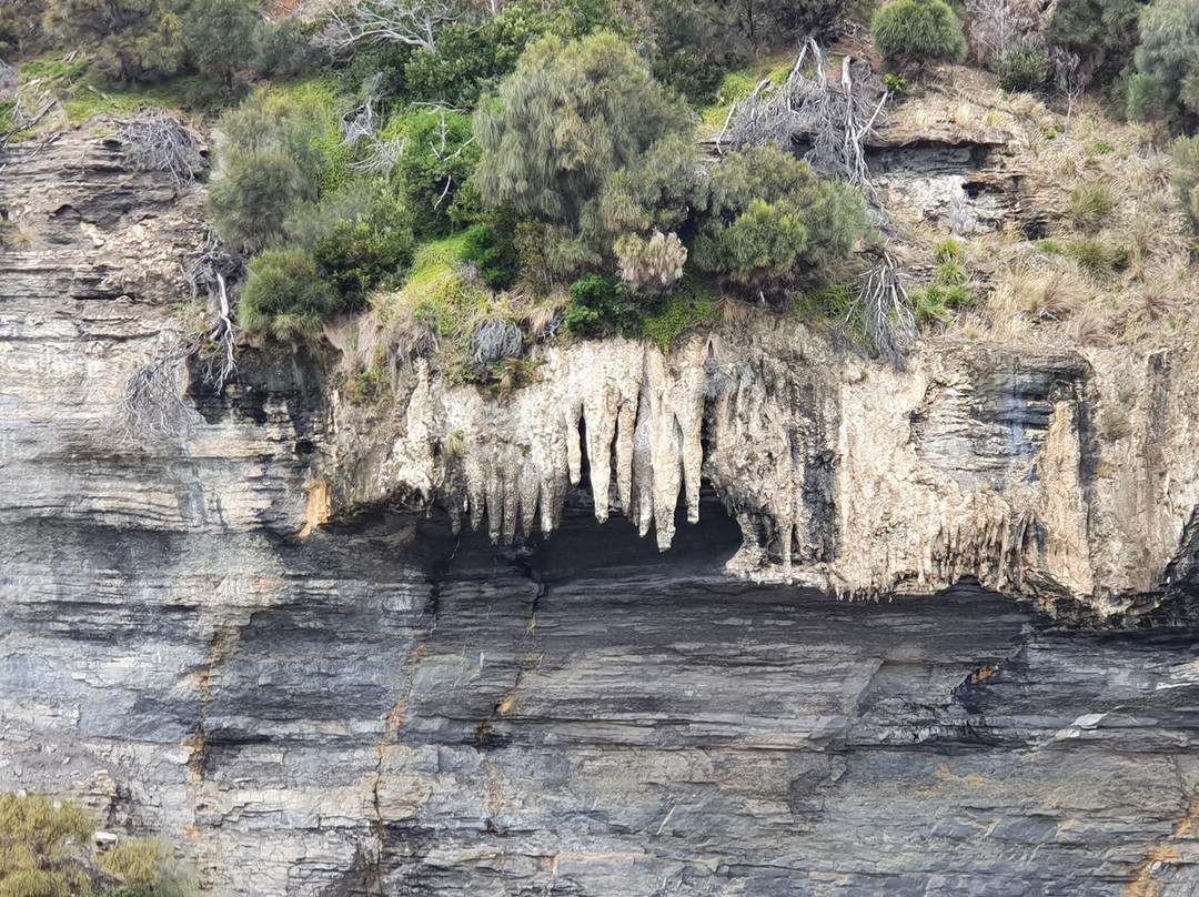 Fossil Cliffs景点图片