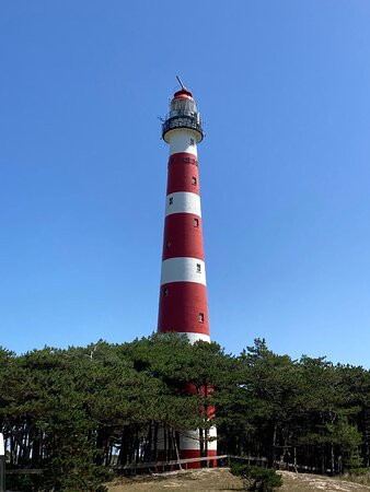 贝尔肯霍夫主图