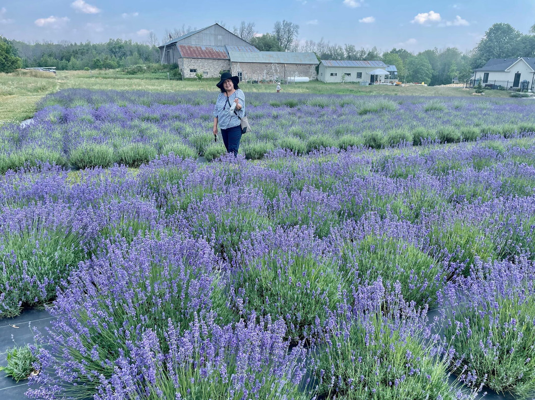 Erin旅游景点-Stonewell Farm