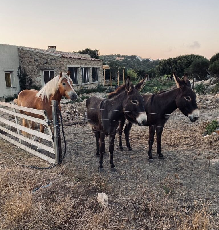 La Cera Farm Camping B&B主图