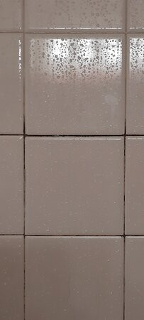 Baymont by Wyndham Marion主图