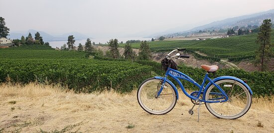 Kettle Valley Rail Trail景点图片